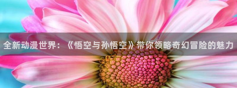 omofun动漫.：全新动漫世界：《悟空与孙悟空》带你领略奇幻冒险的魅力