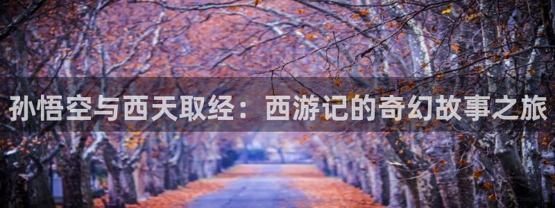 omofun动漫视频网：孙悟空与西天取经：西游记的奇幻故事之旅