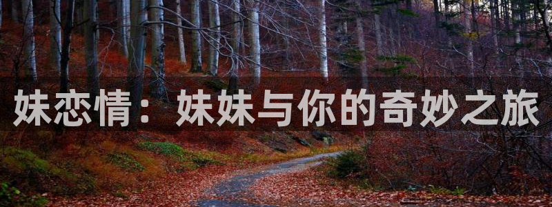 omofun是什么：妹恋情：妹妹与你的奇妙之旅